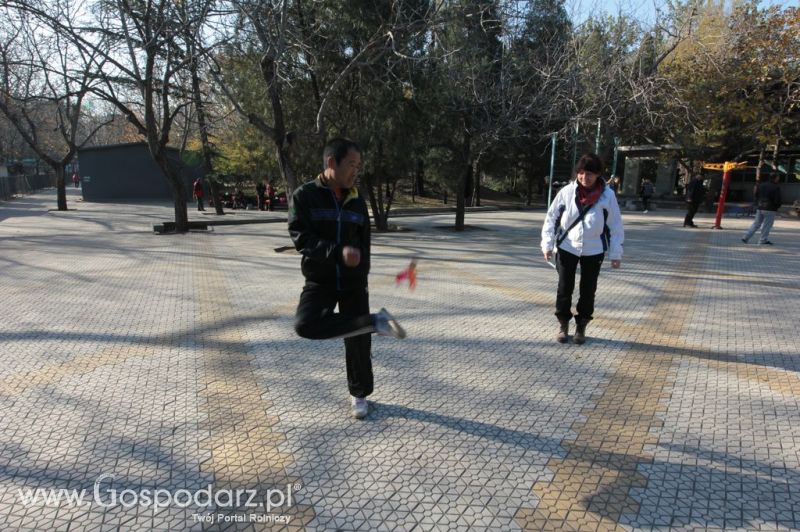Gospodarz.pl w Chinach