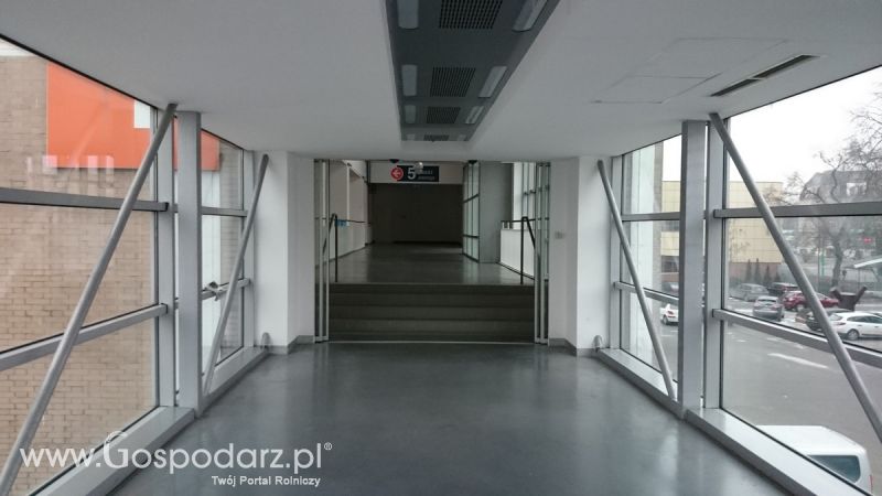 Rodzinny spacer na POLAGRA-PREMIERY 2016 w Poznaniu