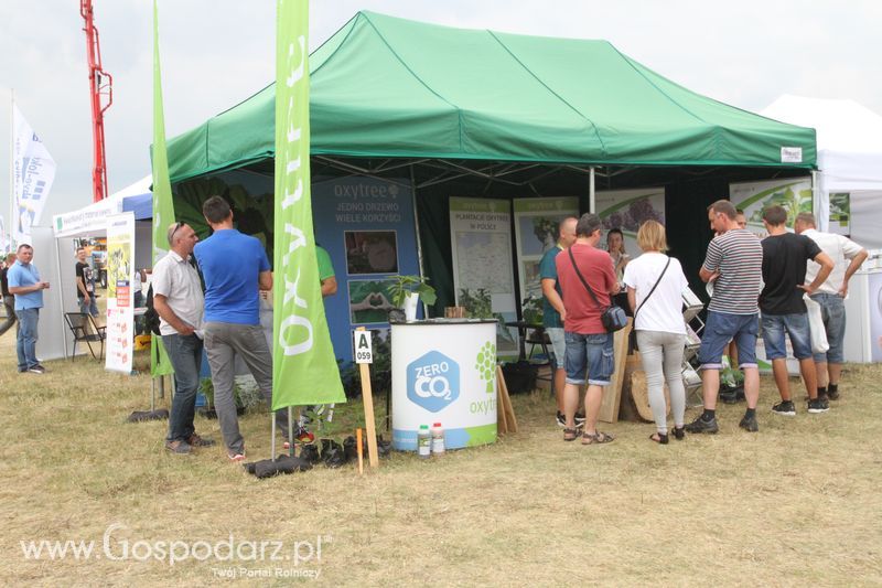 Oxytree na OPOLAGRA Kamień Śląski 2018