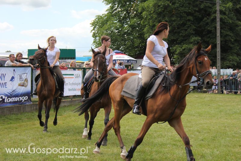 XVIII Regionalna Wystawa Zwierząt Hodowlanych i Dni z Doradztwem Rolniczym w Szepietowie - Sobota