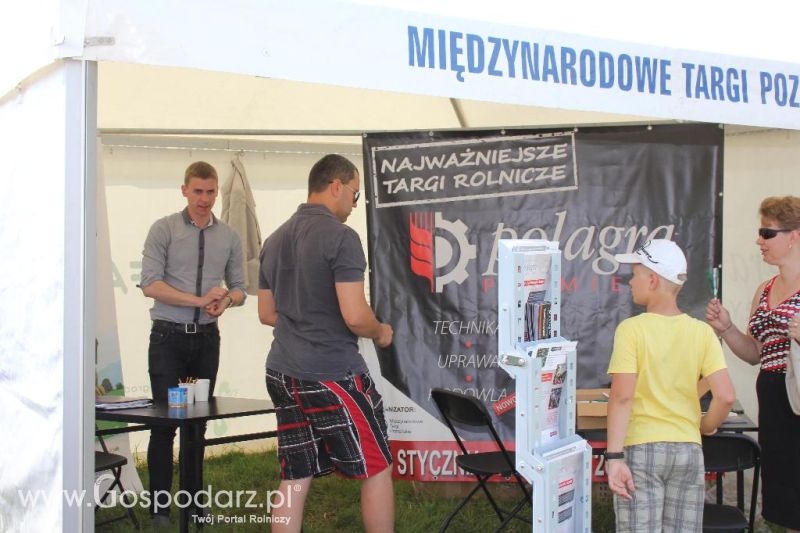 Regionalna Wystawa Zwierząt Hodowlanych i Dni z Doradztwem Rolniczym w Szepietowie-niedziela