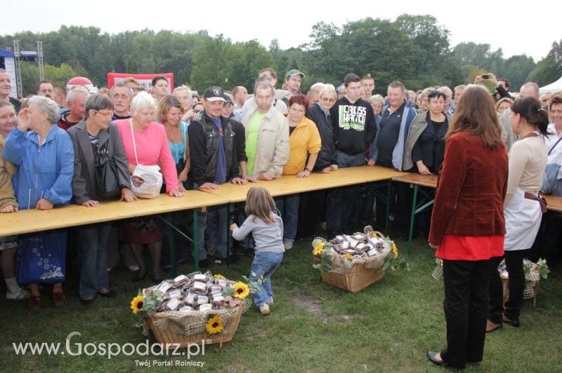 Świętomięs Polski w Chorzowie