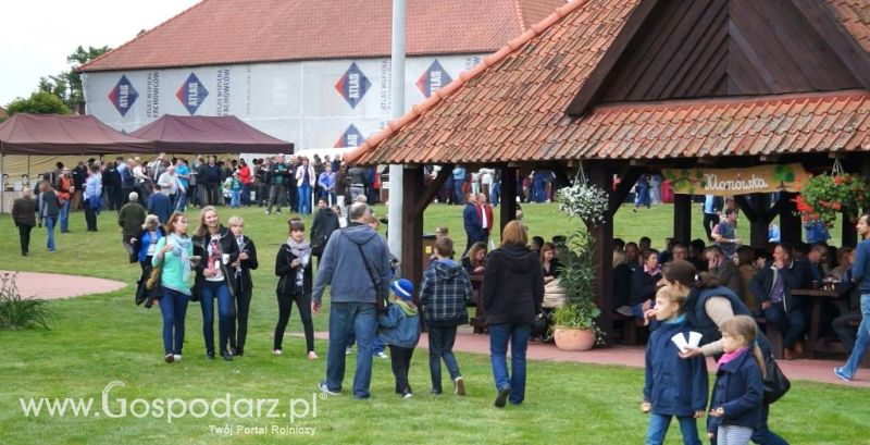 Obchody XX-lecia firmy Wipasz