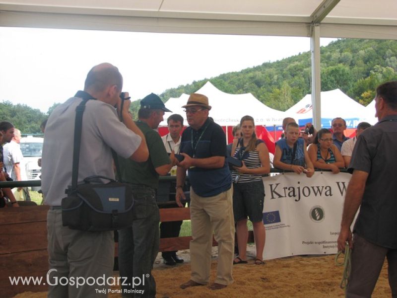 Krajowa Wystawa Ras Rodzimych Rudawka Rymanowska 2012 dzień 2