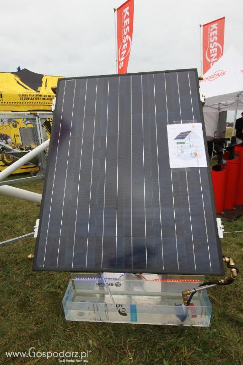 AGRO SHOW 2013 - sobota i niedziela