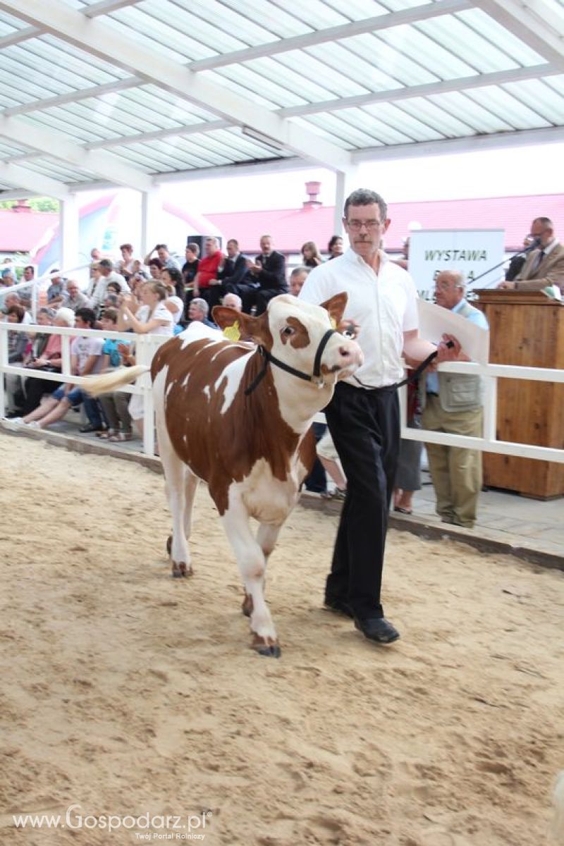 Czempioni XVII Regionalnej Wystawy Zwierząt Hodowlanych Sielinko 2011
