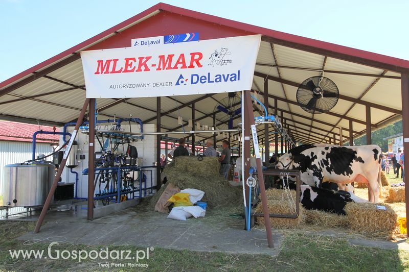 Wystawa zwierząt w Szepietowie