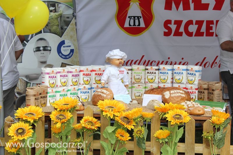 Ogólnopolski Festiwal Wieprzowiny w Łasinie