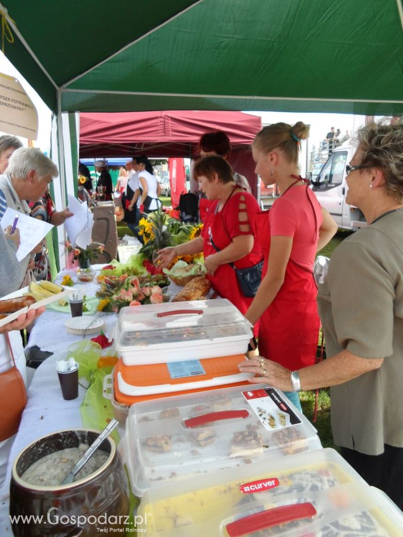 II Festiwal Wieprzowiny w Kwidzyniu