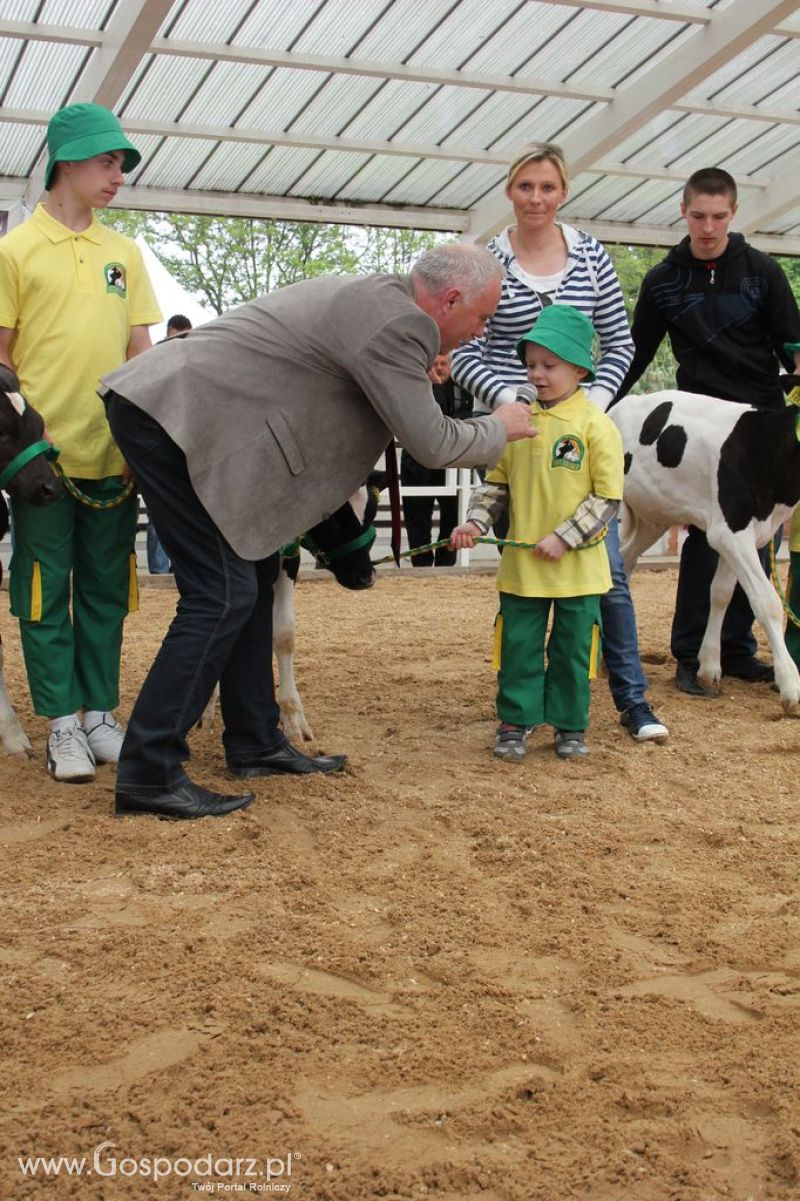 Mali Hodowcy VII Ogólnopolska Wystawa Bydła Hodowlanego w Sielinku 2012
