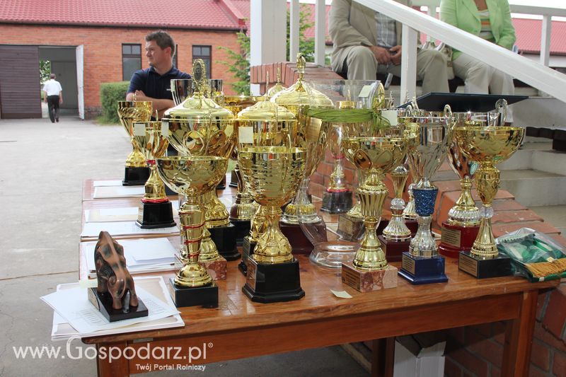 Czempioni XVII Regionalnej Wystawy Zwierząt Hodowlanych Sielinko 2011