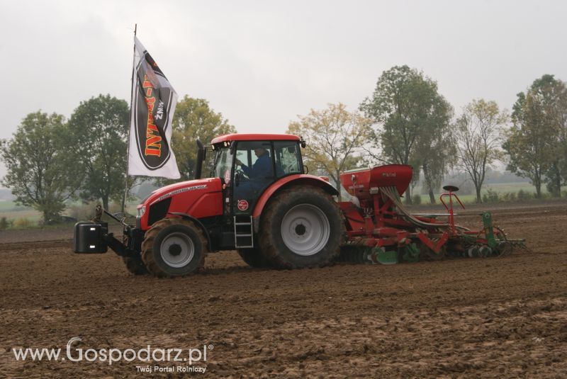 Zdjęcia z pokazów polowych INTER-VAX w Młotkowie