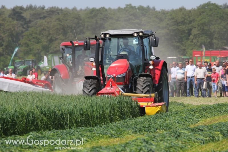 Zielone AGRO SHOW – POLSKIE ZBOŻA 2014 w Sielinku - niedziela