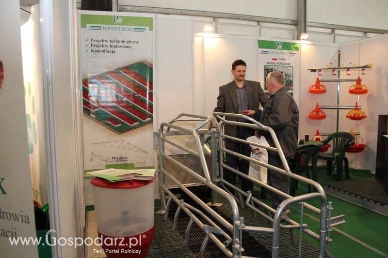 Fotorelacja z XVII Międzynarodowych Targów Techniki Rolniczej AGROTECH i XI Targów Przemysłu Drzewnego i Gospodarki Zasobami Leśnymi LAS-EXPO dzień 2
