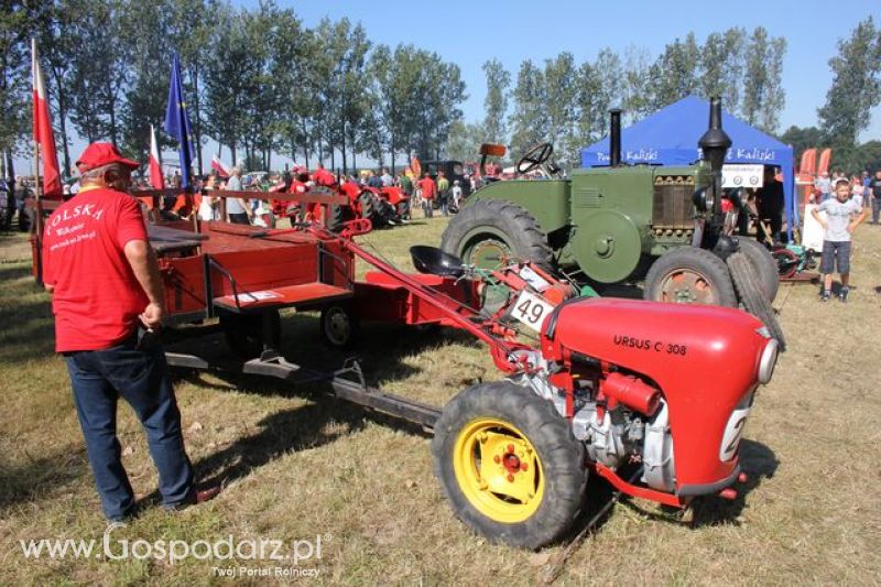 XI Ogólnopolski Festiwal Starych Ciągników i Maszyn Rolniczych