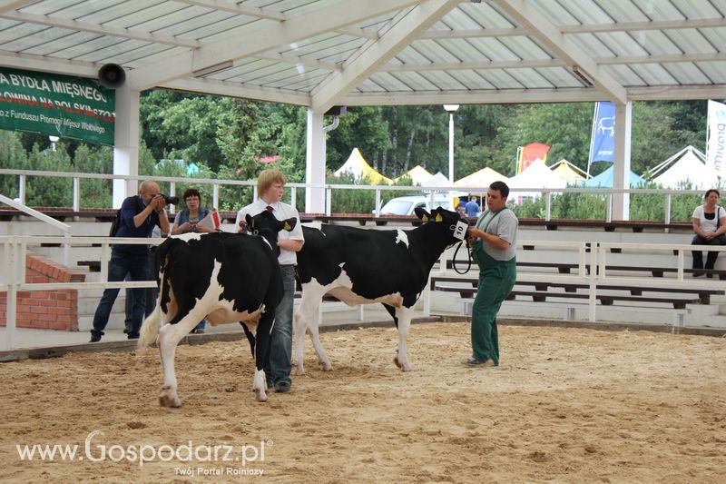 Wystawa bydła Sielinko 2011