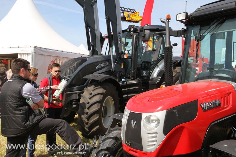 Zielone AGRO SHOW - Polskie Zboża 2015 w Sielinku