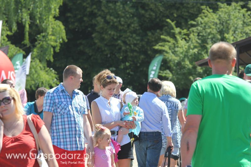 Targi rolne w Szepietowie (27-28.06.2015)