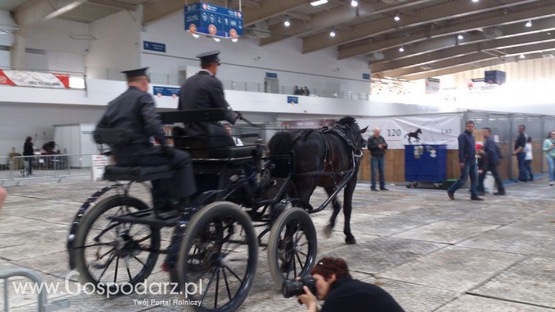 KWZH 2015. Bliskie spotkania ze zwierzętami hodowlanymi