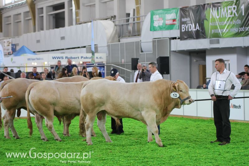 KWZH 2015 piątek