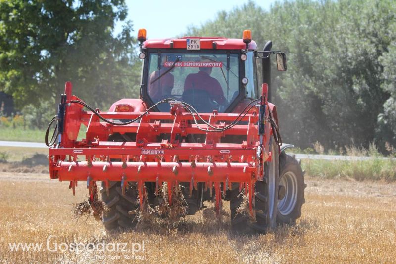 Zetor Family Tractor Show 2013 - Opatów