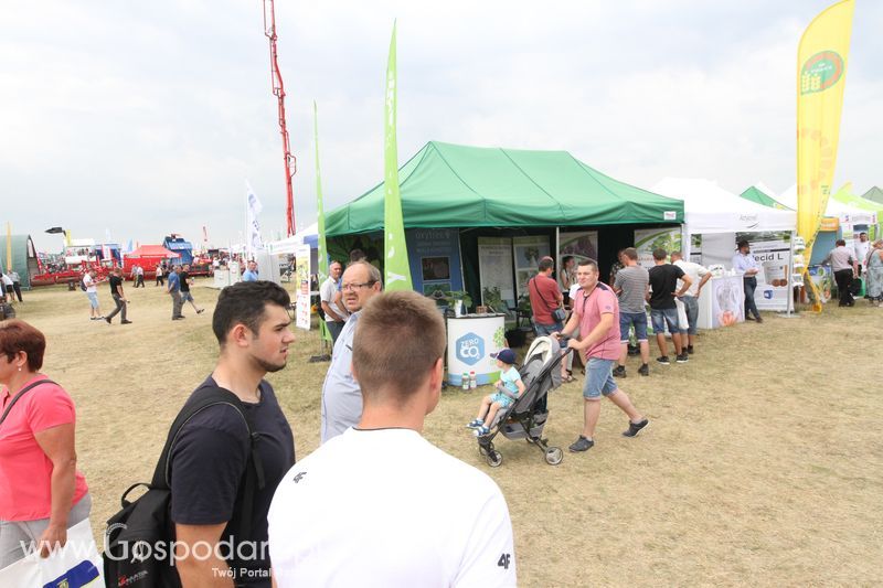 Oxytree na OPOLAGRA Kamień Śląski 2018