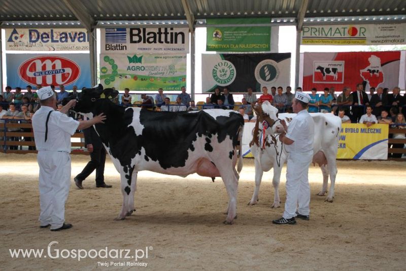 VIII Ogólnopolska Wystawa Bydła Hodowlanego, XXI Regionalna Wystawa Zwierząt Hodowlanych i Dni z Doradztwem Rolniczym w Szepietowie