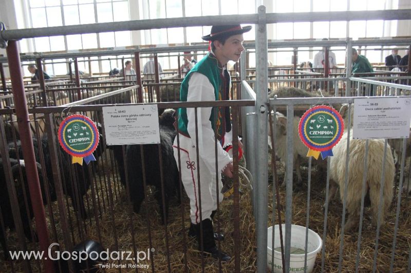 XXVI Krajowa Wystawa Zwierząt Hodowlanych - sobota i niedziela