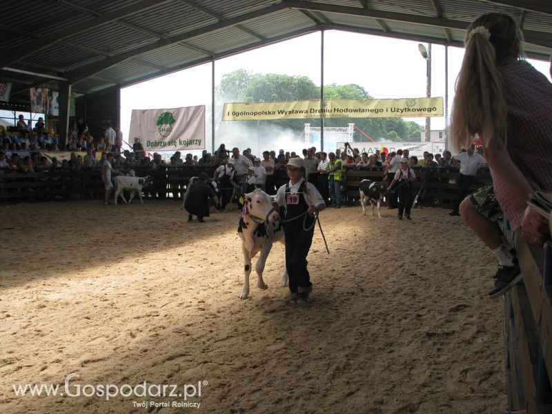 Młody Hodowca - Szepietowo 2012 XIX Regionalna Wystawa Zwierząt Hodowlanych