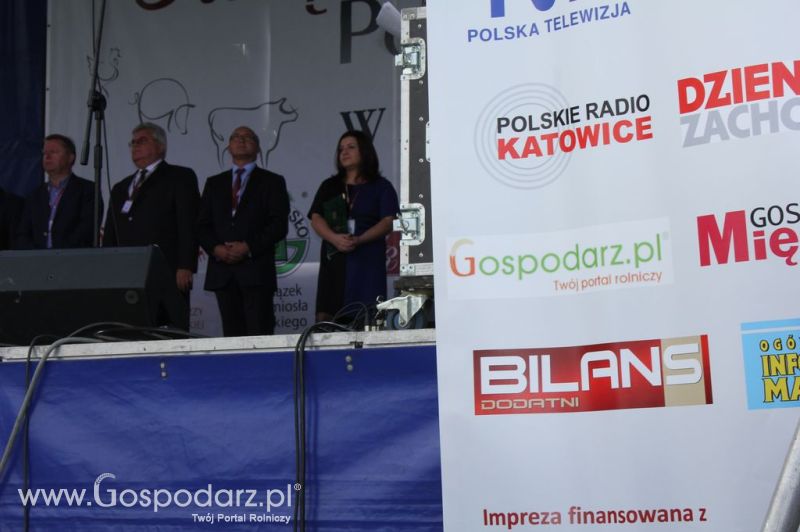 Świętomięs Polski w Chorzowie