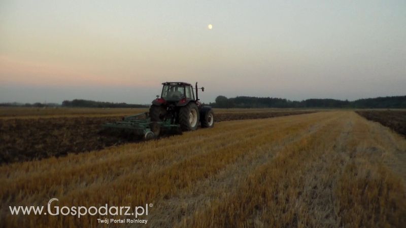 Talerzowane 2013 