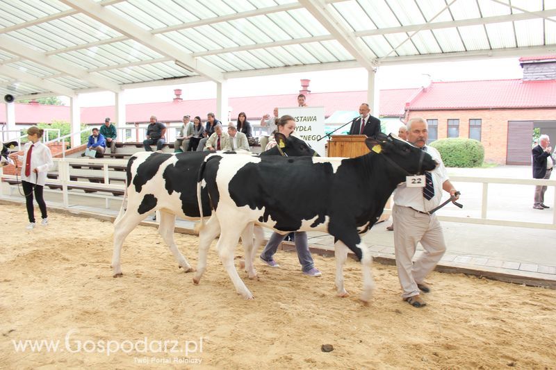 Wystawa bydła Sielinko 2011