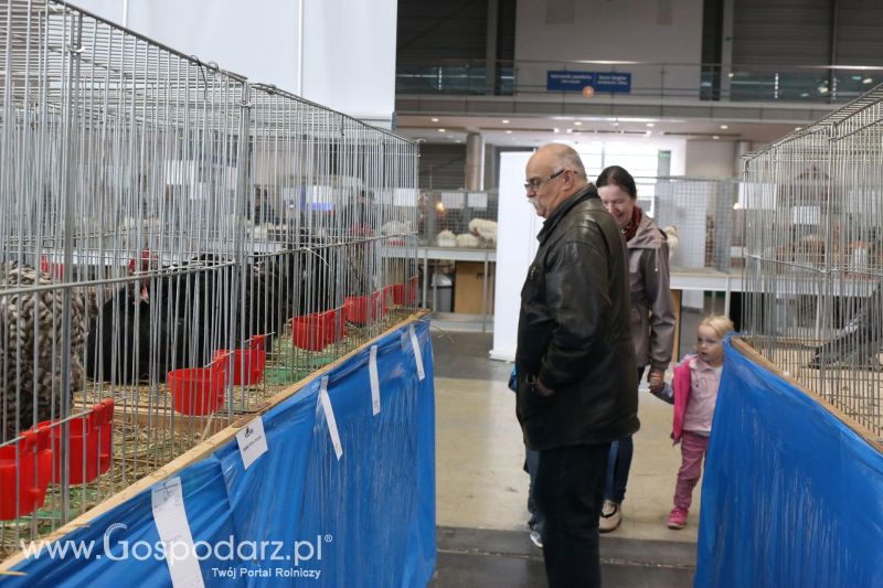 Krajowa Wystawa Zwierząt Hodowlanych w Poznaniu 2017 (piątek, 5 maja)