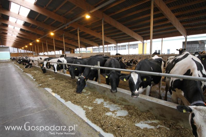 Wyjazd studyjny na farmę Langengrassau w Niemczech