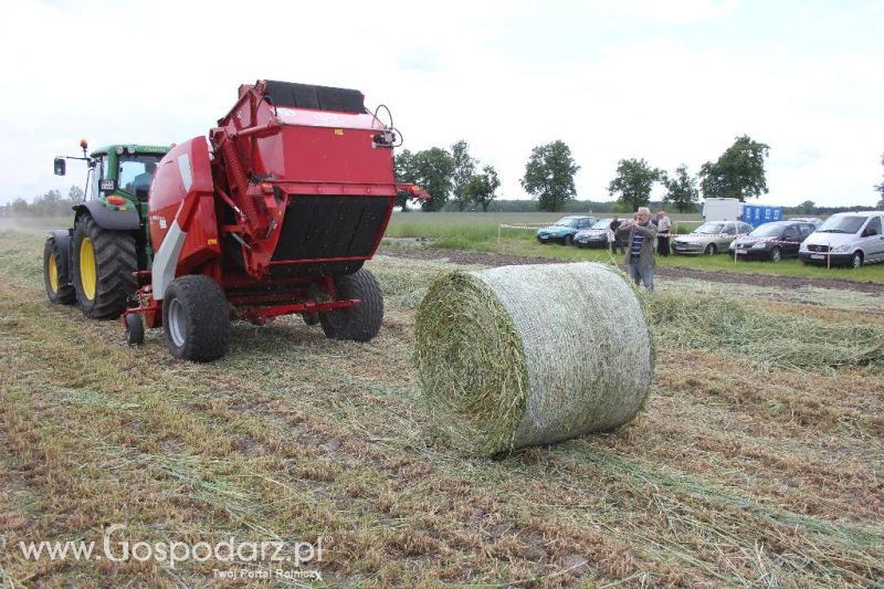Pokazy polowe Romanów k/Krotoszyna