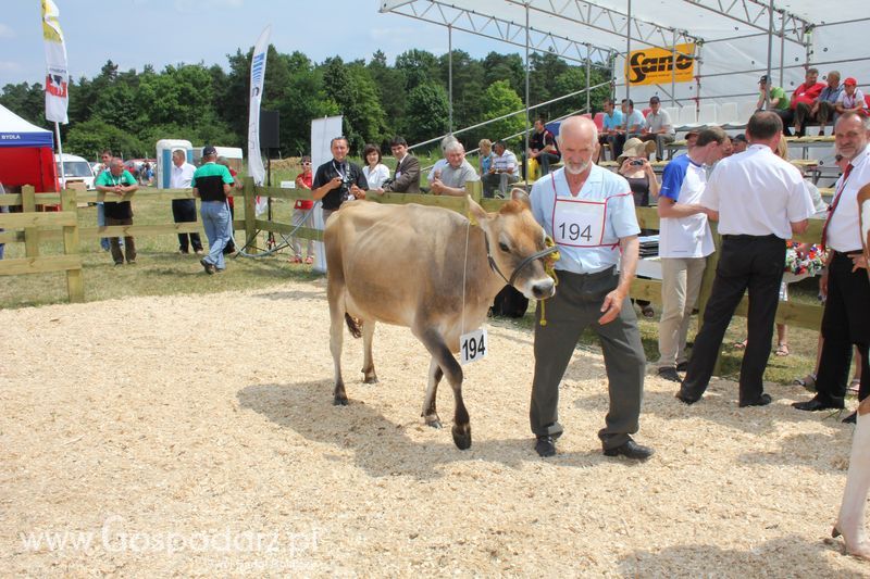 Superchampioni i championi Śląskiej Wystawy Bydła Mlecznego Opolagra 2011
