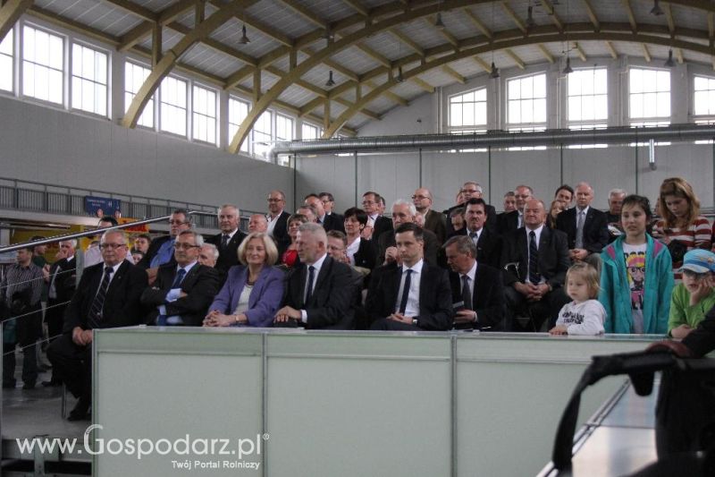 XXVI Krajowa Wystawa Zwierząt Hodowlanych - sobota i niedziela