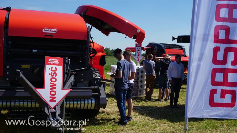 Maschio Gaspardo na ZIELONE AGRO SHOW w Ułężu 2017