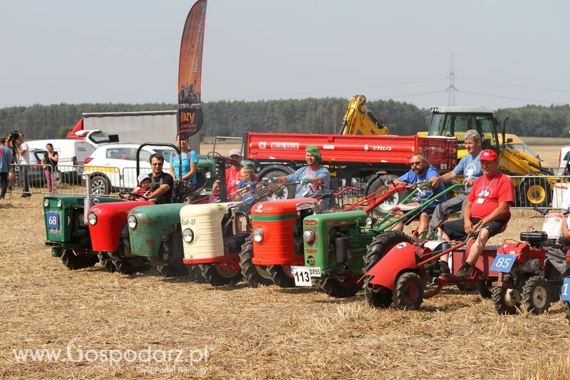 Targi Roltechnika w Wilkowicach 2015