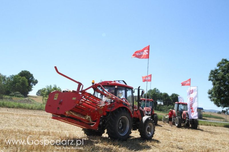 Zetor Family Tractor Show 2013 - Opatów