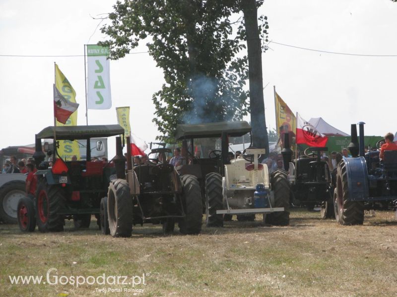 Pokazy w Wilkowicach 25 sierpnia