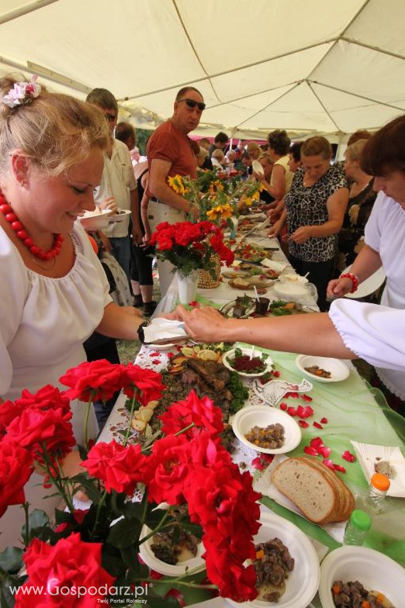 XI Święto Gęsi w Biskupcu