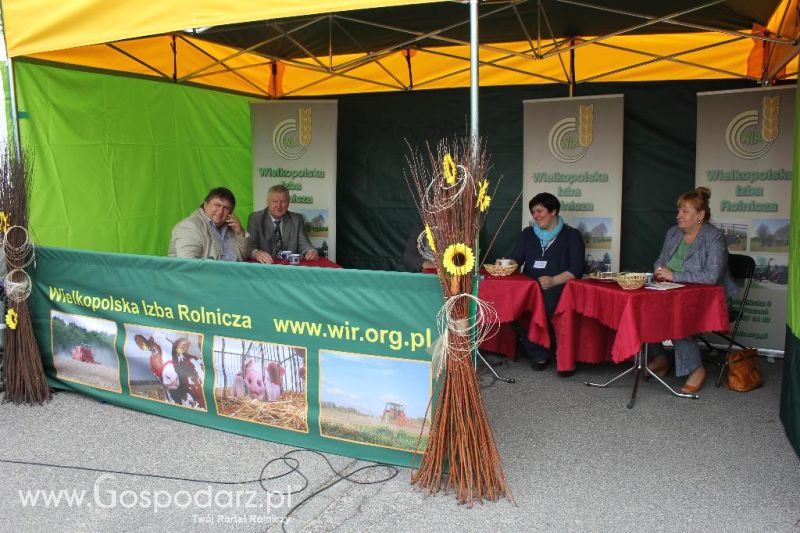 Mięsna Arena 2013 w Poznaniu