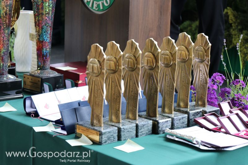 Regionalna Wystawa Zwierząt Hodowlanych i Dni z Doradztwem Rolniczym w Szepietowie 2017 (niedziela)