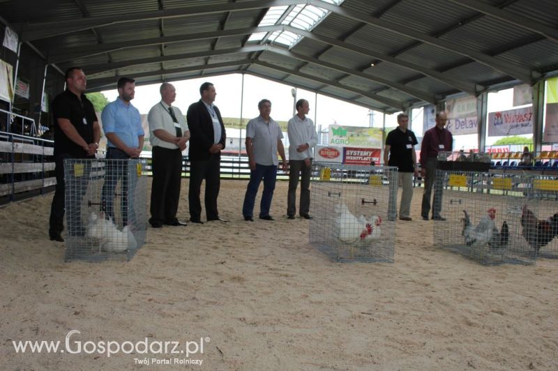 Drób - Szepietowo 2012 XIX Regionalna Wystawa Zwierząt Hodowlanych