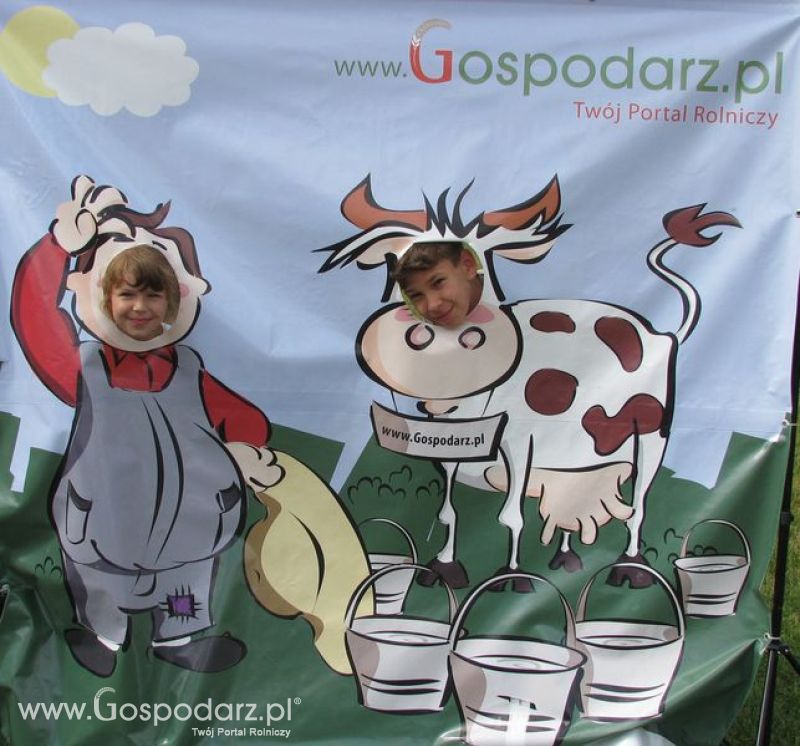 Wielkopolskie Targi Rolnicze „Sielinko 2011”  - Krówka Gospodarza