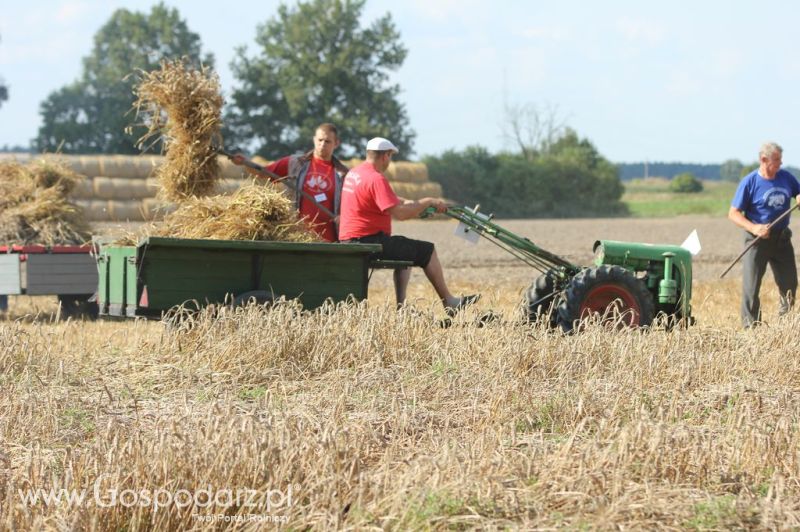 XII Festiwal Starych Ciągników im. Jerzego Samelczaka w Wilkowicach 2013 - sobota