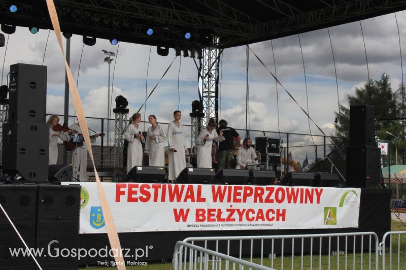 Festiwal Wieprzowiny w Bełżycach