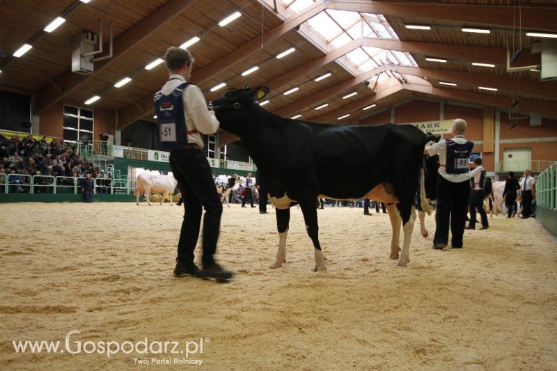 Wystawa  Blickpunkt Rind 2013 w miejscowości Paaren/Glien (Niemcy)