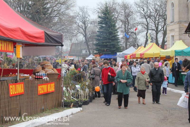 XX Agro-Targi 2011 w Starej Łubiance
